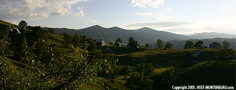 Main photo