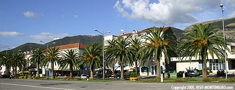 Main photo