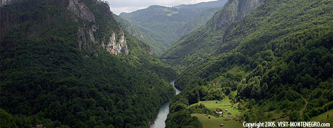 Main photo
